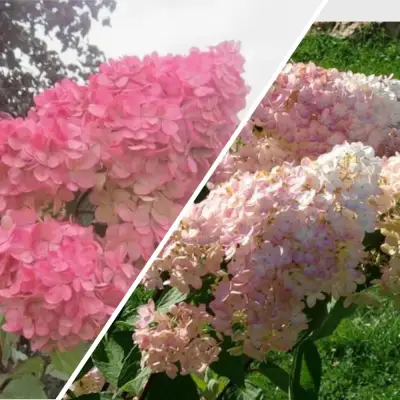 Комплект МНОГОГРАННОСТЬ в Бобруйске