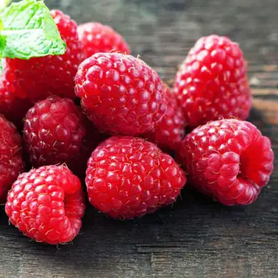 Малина ЭРИКА в Бобруйске