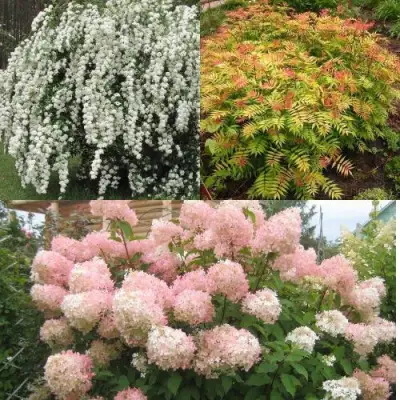 Комплект ФЕЙЕРВЕРК ЛЕТА в Бобруйске