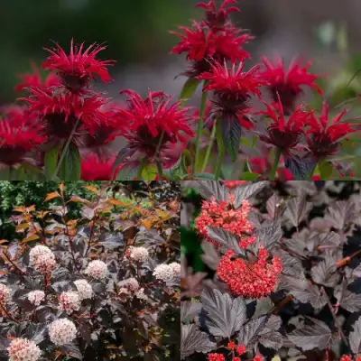 Комплект ОГНЕННЫЙ МИКС в Бобруйске