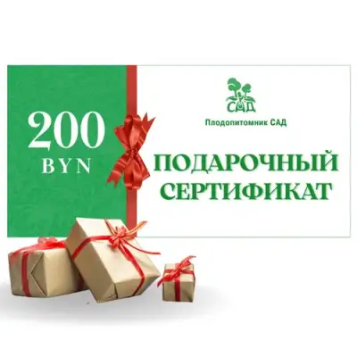 Подарочный сертификат на 200 BYN в Бобруйске