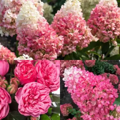 Комплект МАЛИНОВЫЙ ДЕСЕРТ в Бобруйске