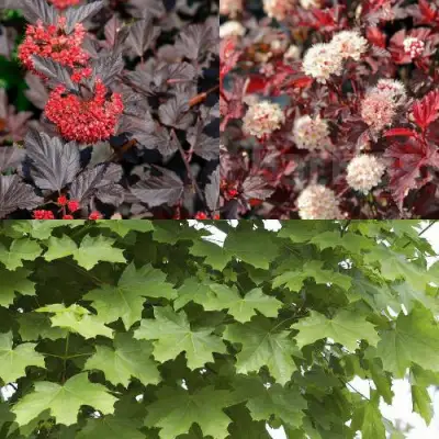 Комплект ОСЕННИЙ КОСТЕР в Бобруйске