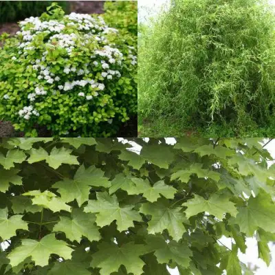 Комплект ЗЕЛЕНЫЙ ОАЗИС в Бобруйске