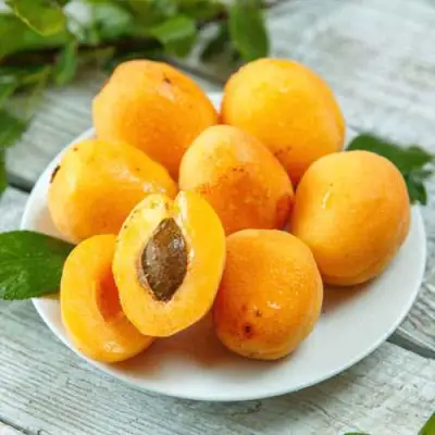 Абрикос АНАНАСНЫЙ в Бобруйске