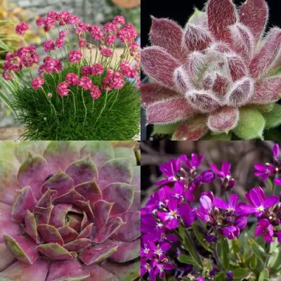 Комплект МИНИ САД в Бобруйске