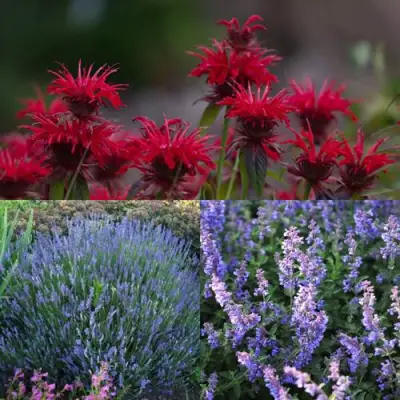 Комплект АРОМАТНЫЙ ЧАЙ в Бобруйске