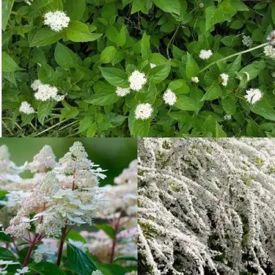 Комплект СКАНДИНАВСКИЙ СТИЛЬ в Бобруйске