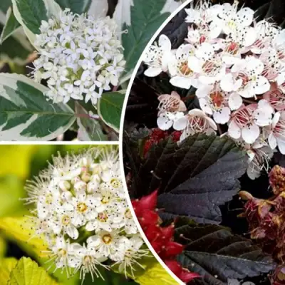 Комплект ЯРКАЯ ВСПЫШКА в Бобруйске