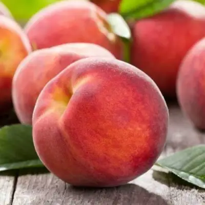 Персик МАЙСКИЙ ЦВЕТОК в Бобруйске