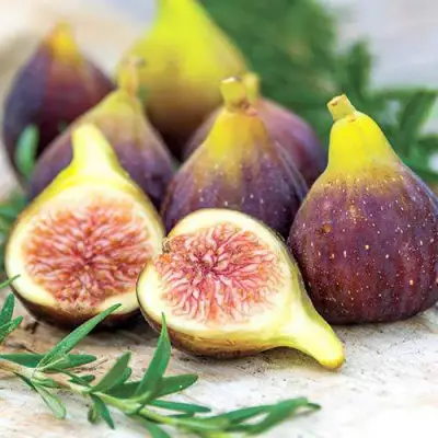 Инжир НИКИТСКИЙ в Бобруйске