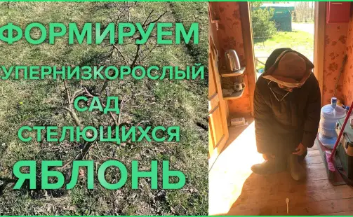 Превью видео