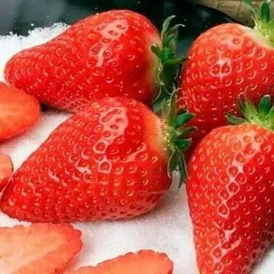 Клубника АЛЬБА  Клубника АЛЬБА в Бобруйске