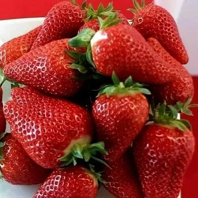 Клубника БРИЛЛА  Клубника БРИЛЛА в Бобруйске