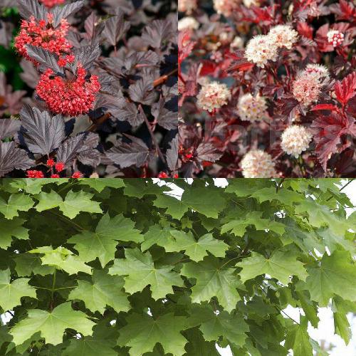 Комплект ОСЕННИЙ КОСТЕР в Бобруйске