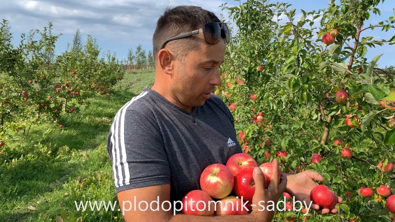 Превью видео