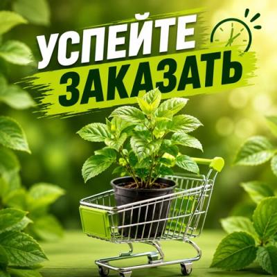 УСПЕЙТЕ ЗАКАЗАТЬ в Бобруйске