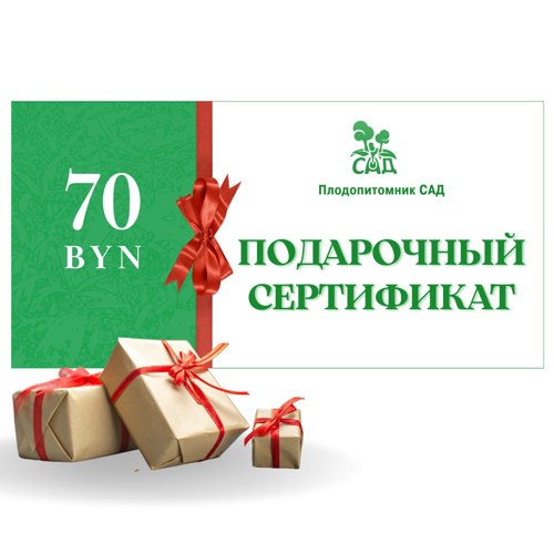 Подарочный сертификат на  70 BYN в Бобруйске