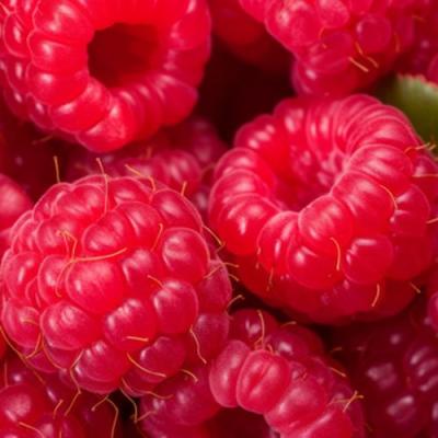 Красная в Бобруйске