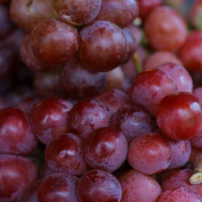 Красный в Бобруйске