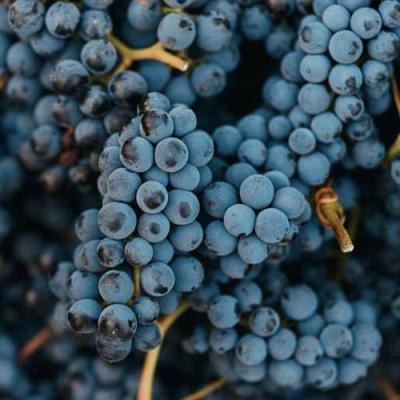 Технический в Бобруйске